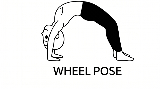 Visual sketch of Wheel Pose (Urdhva Dhanurasana)